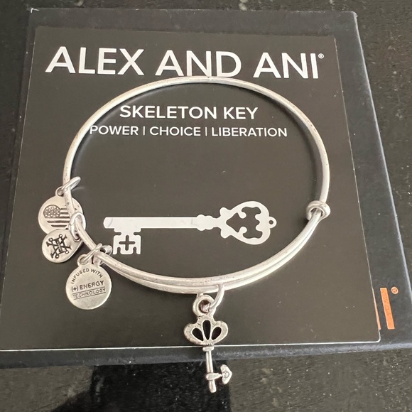 Alex and Ani | Jewelry | Nwt Alex And Ani Skeleton Key | Poshmark